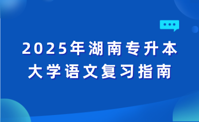 2025年湖南專升本大學語文復習指南